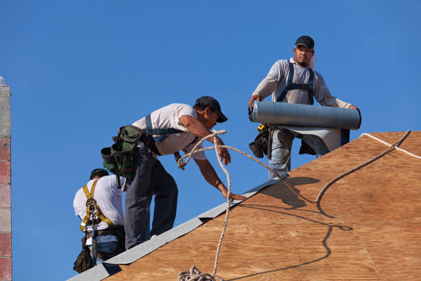 Best Roof Waterproofing Services  in Little Canada, MN